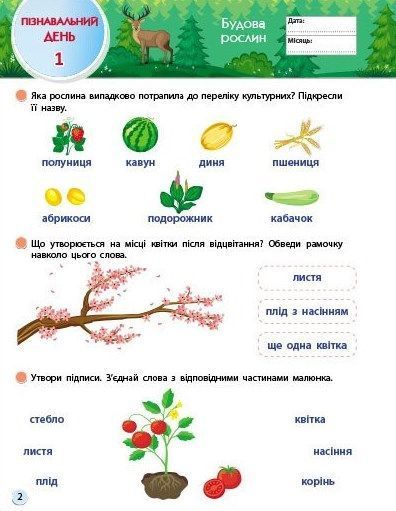 SMARTліто. Іду у 3 клас 1024911 фото
