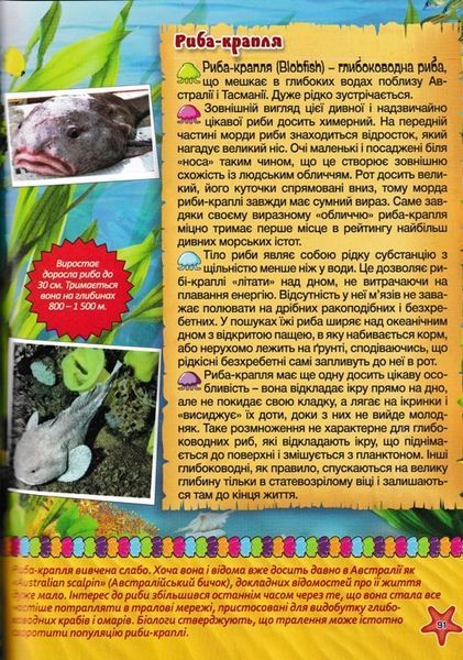 Підводний світ. Велика книга. Дитяча енциклопедія 165656 фото