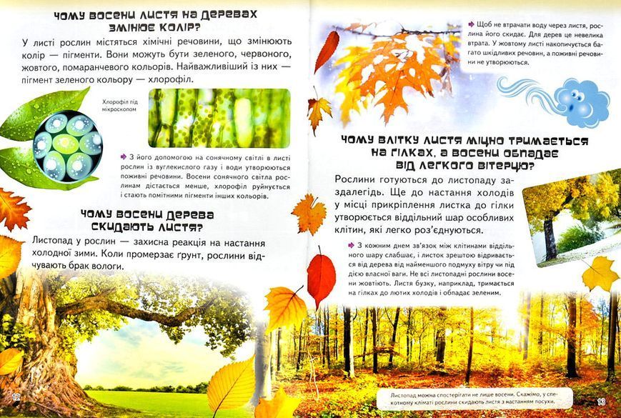 Велика дитяча енциклопедія у запитаннях і відповідях 1004980 фото
