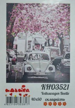 Розпис по номерах Volkswagen Beetle 40х50 166827 фото