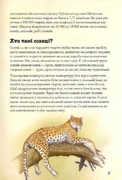 Наземні ссавці світу 1023952 фото