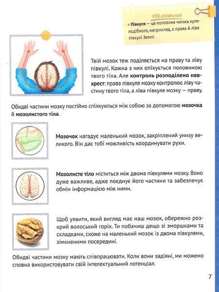 Як зосередити увагу. 130 ігор та вправ 1013188 фото