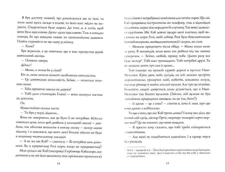 Гонець бурі. Книга 1 1021791 фото