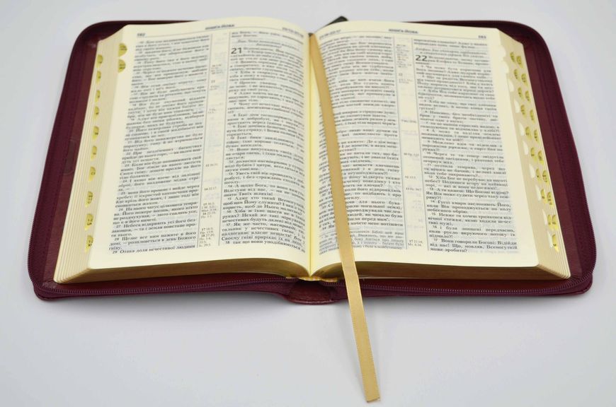 Біблія сучасний переклад 10563 Червона з квітами (замок, замінник шкіри) 1024645 фото