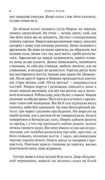 Квіти цикорію 161066 фото