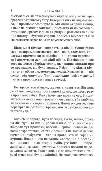 Квіти цикорію 161066 фото