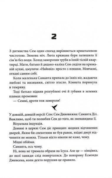 Шокова індукція 1033961 фото