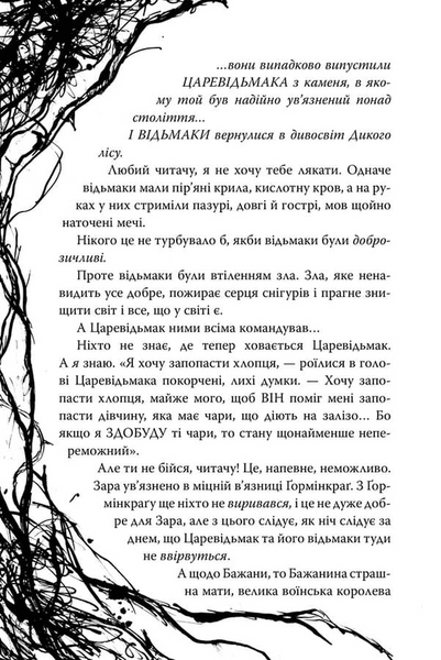 Були собі чаклуни. Чари другі 1034359 фото