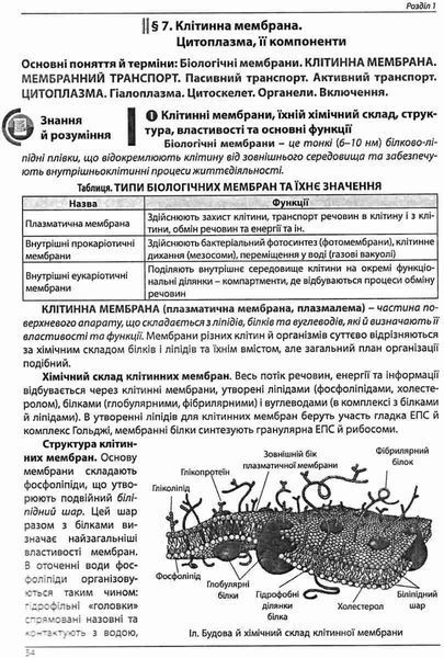 ЗНО 2022 Біологія. Довідник + тести. Для абітурієнтів та школярів. Повний повторювальний курс, підготовка до ЗНО. Рекомендовано МОН України 1011098 фото