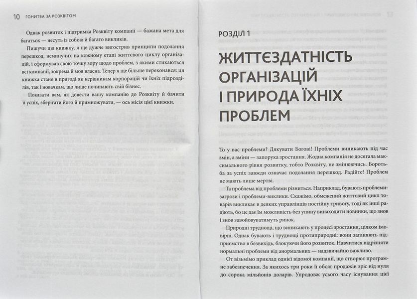 Гонитва за Розквітом. Максимізуйте успіх компанії за методологією Адізеса 166038 фото