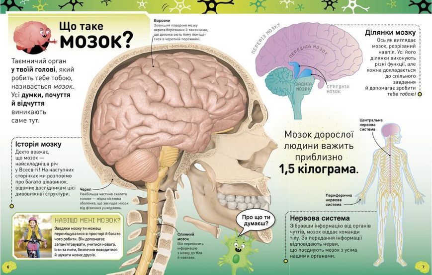 Карколомний мозок. Імпульсивні нейрони, мінливі синапси, хвостаті аксони 1012642 фото