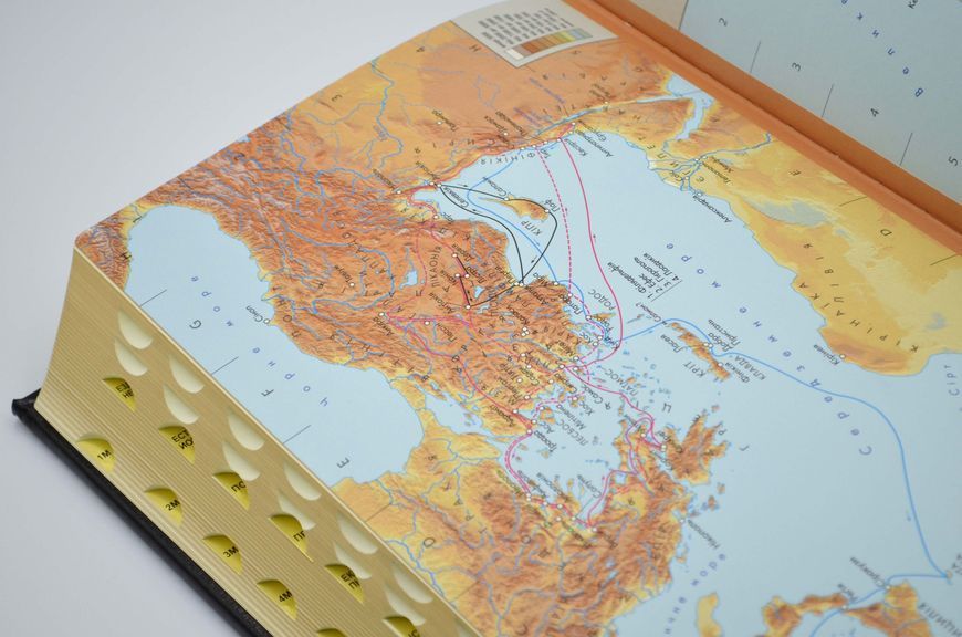 Біблія 10871 сіра (Натуральна шкіра. Індекси) 1024640 фото