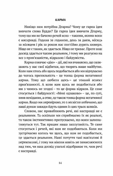 Смуток, любов, відкритість: буддійський шлях радості 1026476 фото