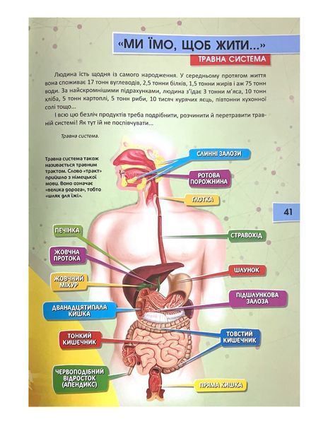 Тіло людини. Перша шкільна енциклопедія 1021935 фото