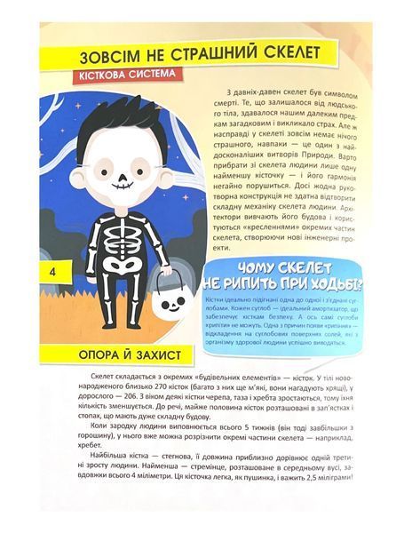 Тіло людини. Перша шкільна енциклопедія 1021935 фото