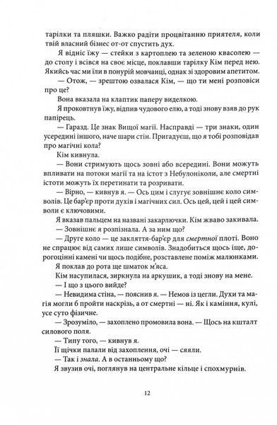 Повня дурня. Справи Дрездена. Книга 2 1031613 фото