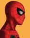 Картина по номерах Bookopt Spider-Man 40х50 (ВК2144) 1011260 фото 1