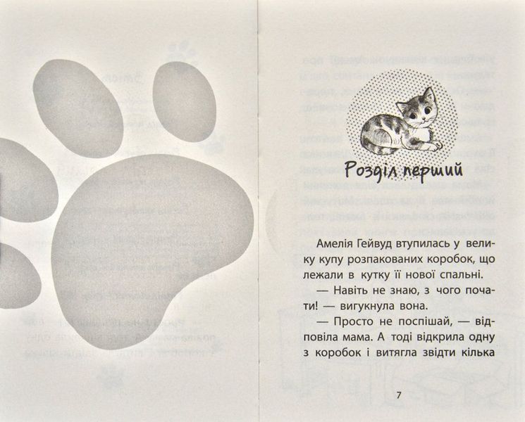 Історія порятнку. Книга 1.Котик безхатько 170866 фото