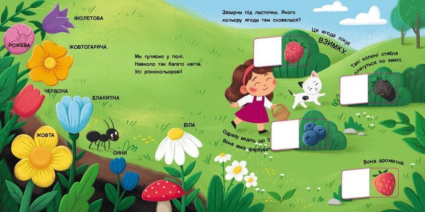 Книжка для малечі. Якого кольору. 24 віконця-хованки 1032172 фото