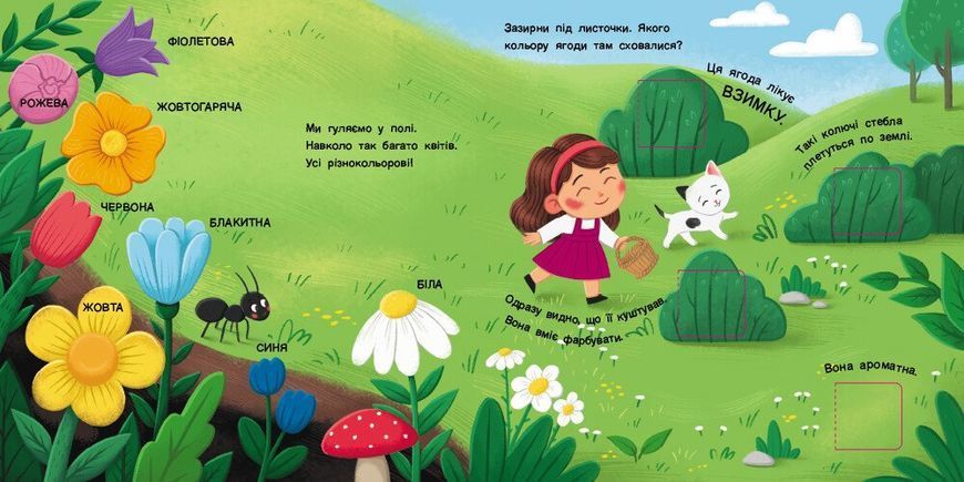 Книжка для малечі. Якого кольору. 24 віконця-хованки 1032172 фото