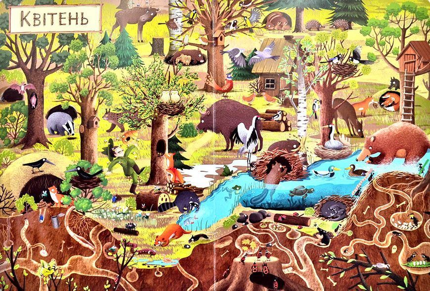 Рік у лісі. Книга-розглядалка (віммельбух) 146369 фото