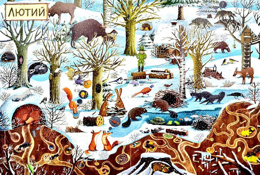 Рік у лісі. Книга-розглядалка (віммельбух) 146369 фото