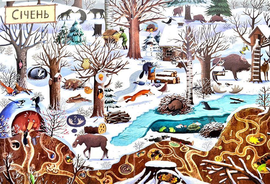 Рік у лісі. Книга-розглядалка (віммельбух) 146369 фото