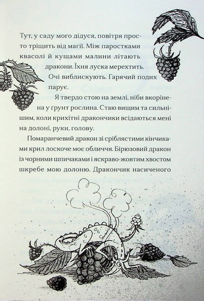 Хлопчик, який співав з драконами. Книга 5 1024664 фото
