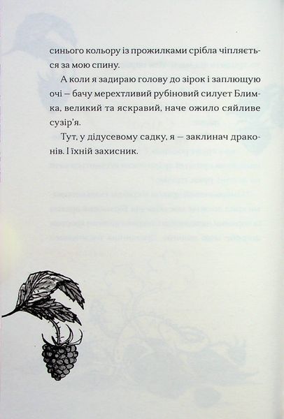 Хлопчик, який співав з драконами. Книга 5 1024664 фото