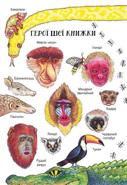 Носата красуня 1023685 фото