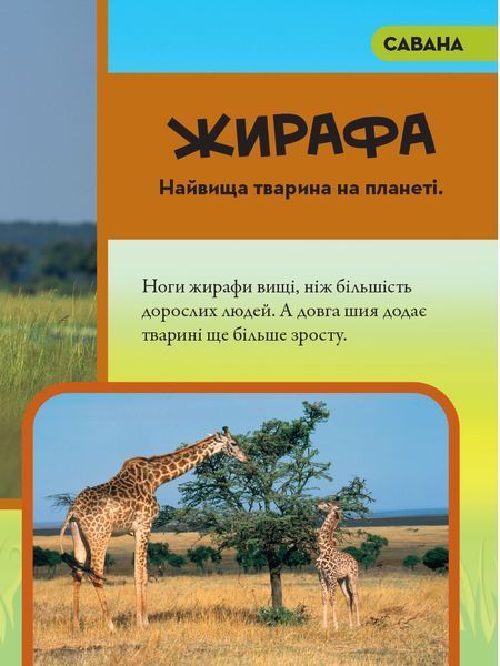 Моя перша енциклопедія. Тварини (National Geographic Kids) 1024763 фото