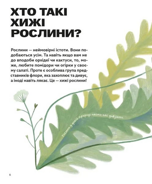 Хто такі хижі рослини? 1033911 фото