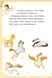 Чарівний виклик. Єдиноріжжя. Книга 3 1033625 фото 3