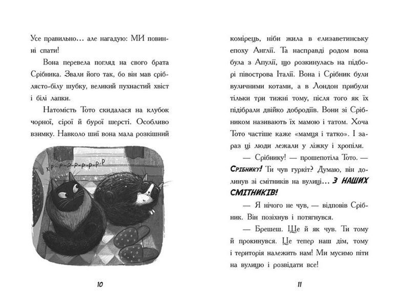 Тото. Кішка-ніндзя та велика втеча змія. Книга 1 1015521 фото
