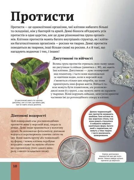 Дитяча енциклопедія біології 1034964 фото