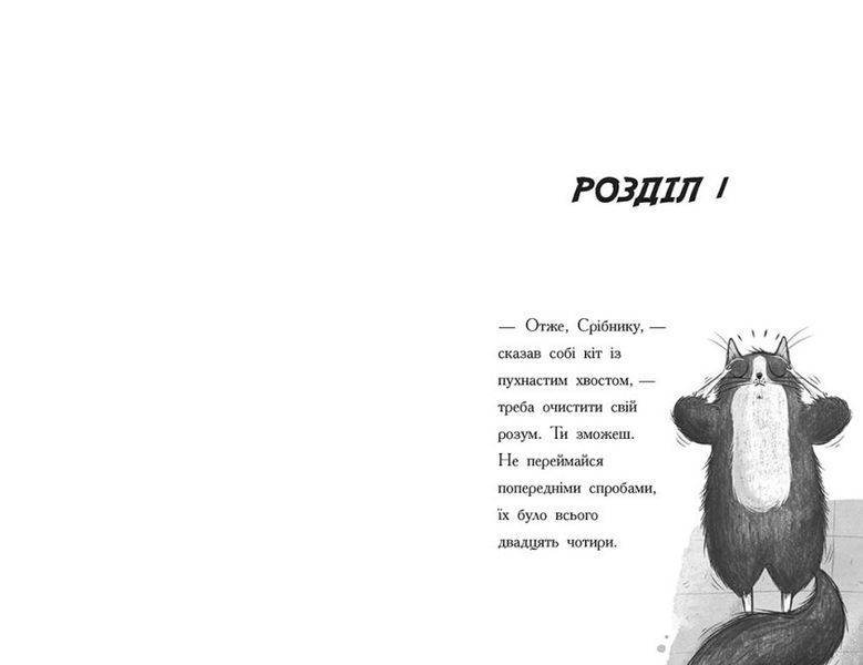Тото. Кішка-ніндзя та справа про викрадення сиру. Книга 2 1015522 фото