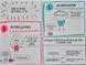 Книжка, яка нарешті пояснить тобі геть усе про дівчаток і хлопчиків (більше жодних таємниць) 168588 фото 5