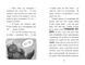 Тото. Кішка-ніндзя та справа про викрадення сиру. Книга 2 1015522 фото 5