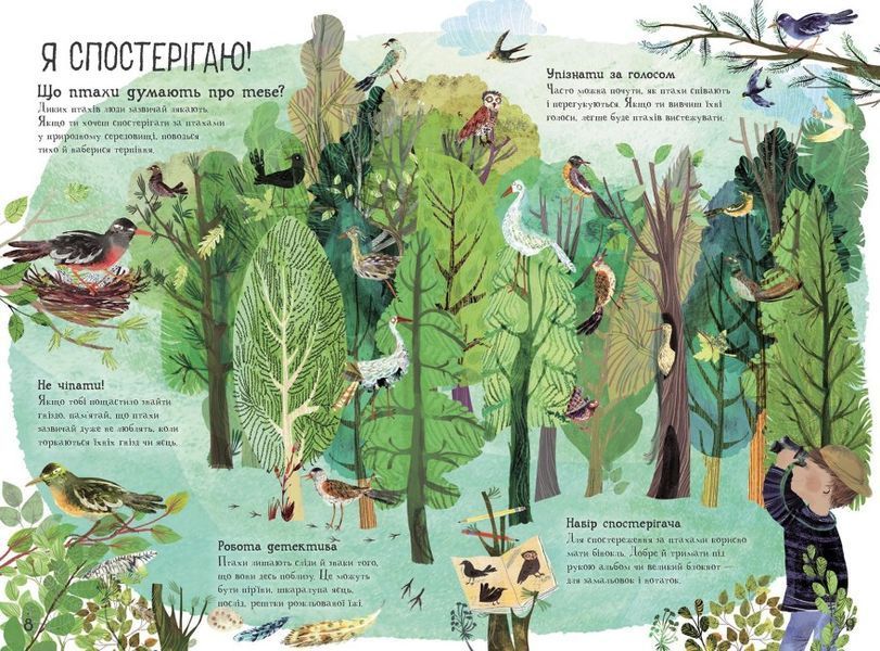 Велика книга: Велика книга птахів 1019433 фото