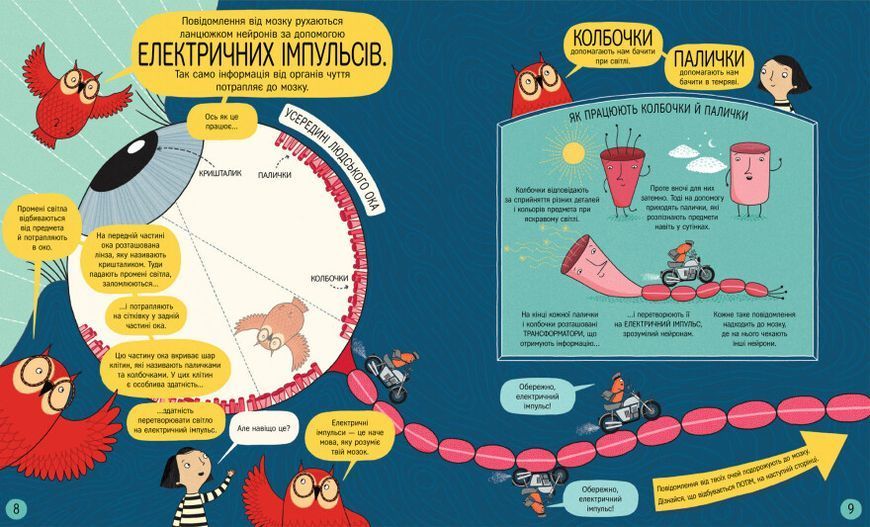 Книжка про мозок і те, як він працює 1014965 фото