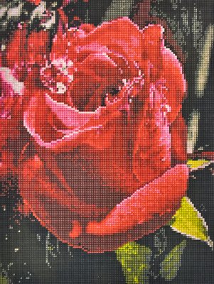 Алмазна мозаїка Червона троянда 30х40 EF984 1001336 фото