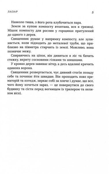 Лазар. Детектив Йона Лінна. Книга 7 1029236 фото