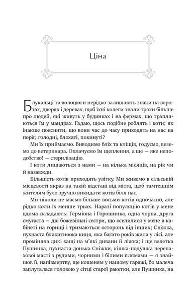 Дим і дзеркала. Короткі оповідання та ілюзії 1018567 фото