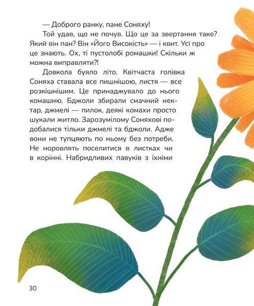 Вистрибеньки сонячних зайчиків 1024700 фото