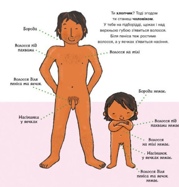 Звідки беруться діти? Дітям про інтимне 1012183 фото