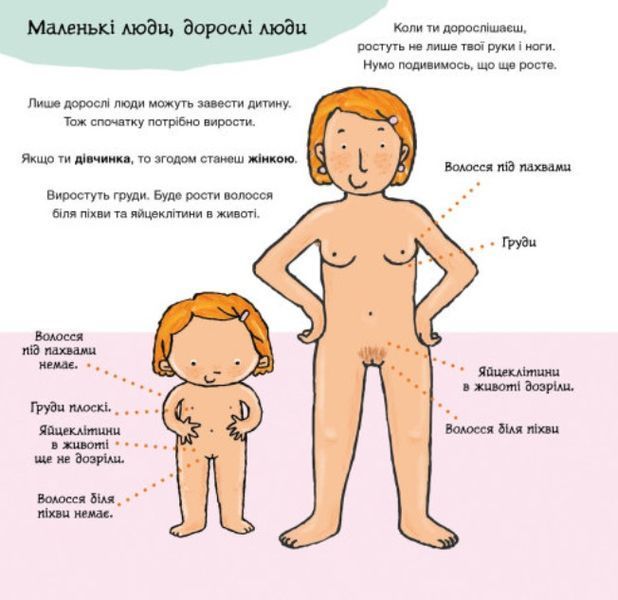 Звідки беруться діти? Дітям про інтимне 1012183 фото