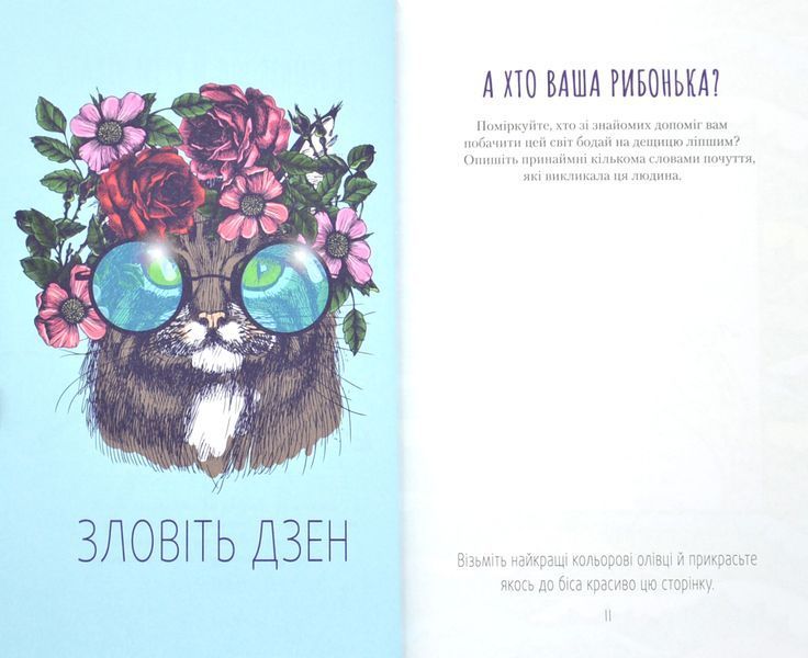 Злови дзен. Щоденник для вправляння в мистецтві не зважати ні на що 1016871 фото