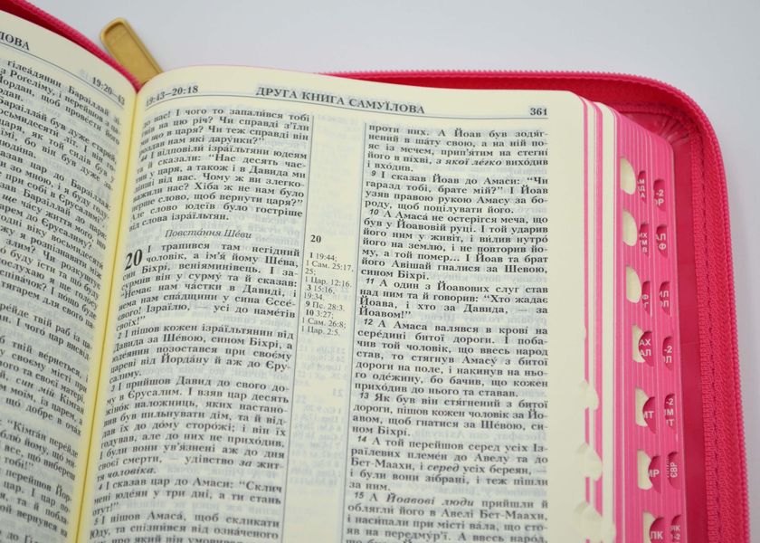 Біблія на блискавці, Рожеві метелики (10458) 1016536 фото