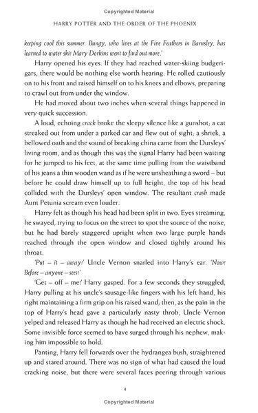 Harry Potter and the Order of the Phoenix 1023545 фото