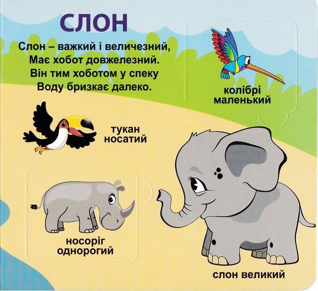 Хто який? 33 віконця 1026001 фото